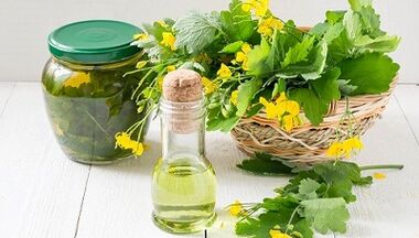 celandine solution to remove parasites from the body